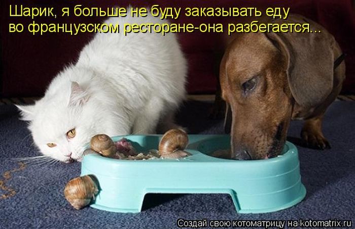 Мысли вслух :)