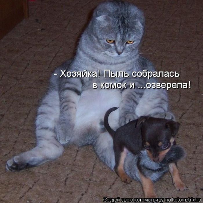 ����������� (49 ����)