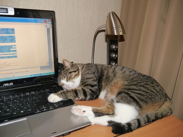 © elseeve.livejournal.com