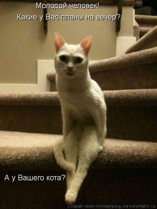Для хорошего настроения 4