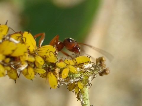 DSC04811