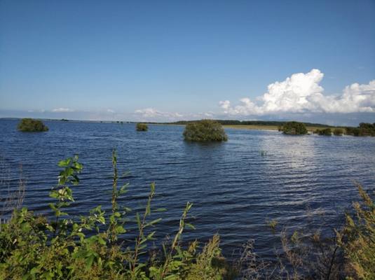 В трех районах Хабаровского края отменили режим ЧС, веденный из-за паводка