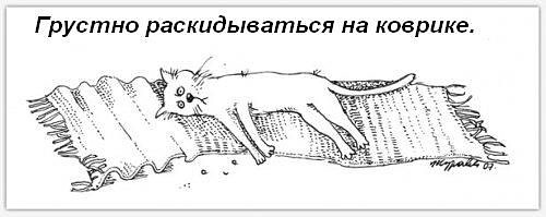 Обязанности кота по дому (9 фото) Обязанности кота по дому (9 фото)
