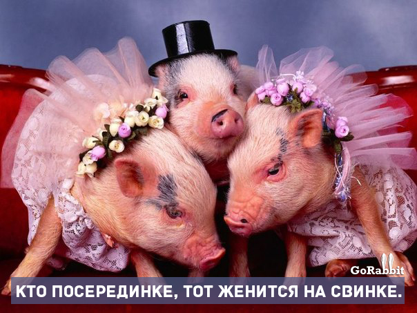 Фразы из детства, которые лучше не вспоминать Фразы из детства, которые лучше не вспоминать