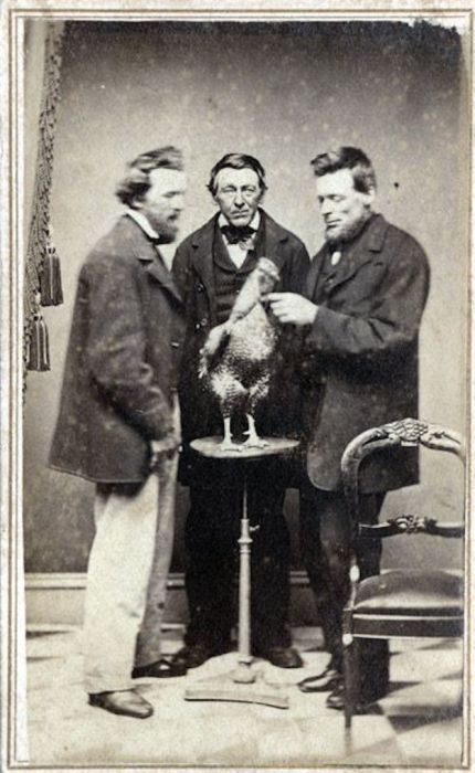 Странные снимки из прошлого (40 фото) Странные снимки из прошлого (40 фото)