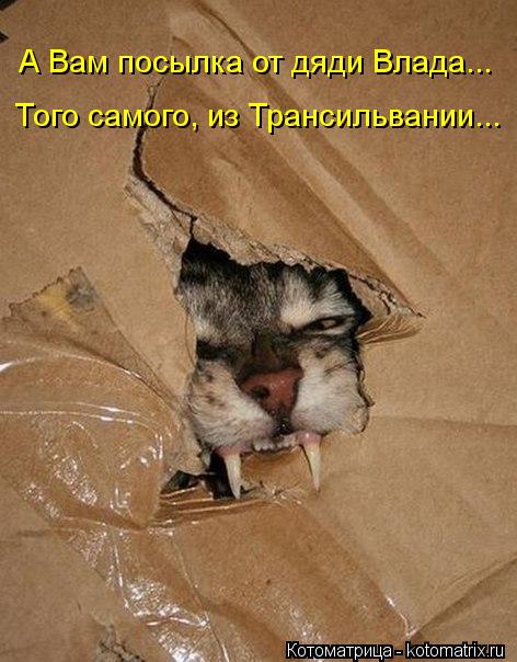А Вам посылка от дяди Влада... Того самого, из Трансильвании...... Котоматрица: А Вам посылка от дяди Влада... Того самого, из Трансильвании...