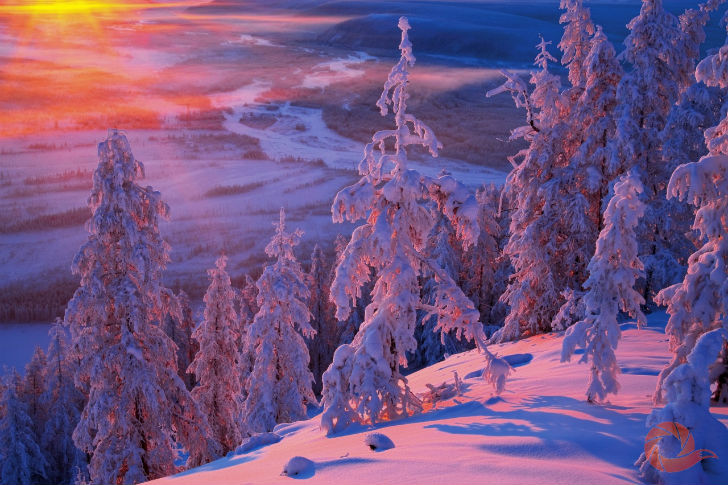 Природа России 14 Природа России 14
