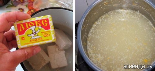 ЧТО НЕОБХОДИМО КЛАСТЬ В ЛУНКУ ПРИ ПОСАДКЕ ПОМИДОРОВ? ЧТО НЕОБХОДИМО КЛАСТЬ В ЛУНКУ ПРИ ПОСАДКЕ ПОМИДОРОВ?