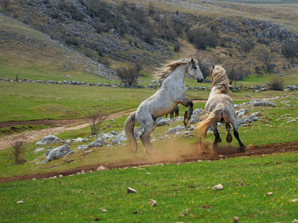 фото National Geographic