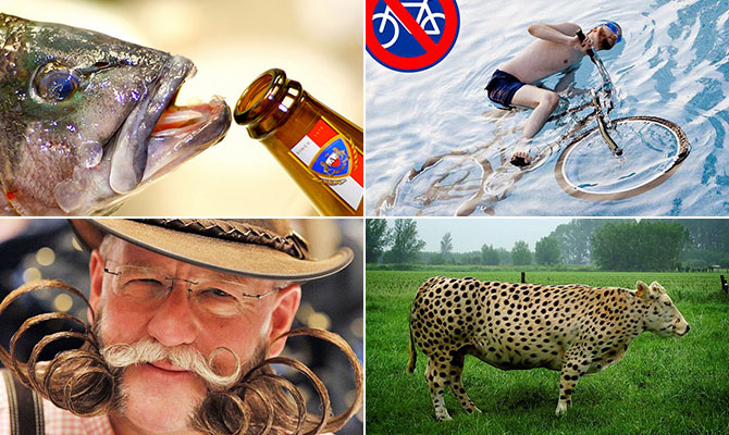 интересные и смешные факты