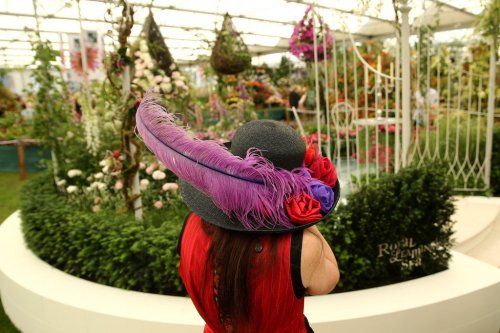 Цветочная выставка Chelsea Flower Show 2014 (24 фото)