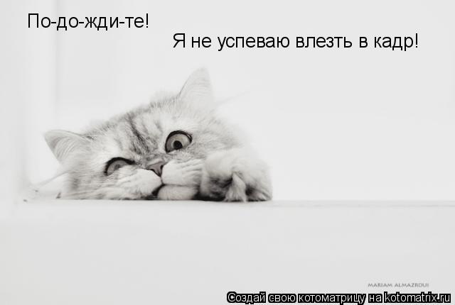 Ура!! Пятница - котоматрица!!! Ура!! Пятница - котоматрица!!!