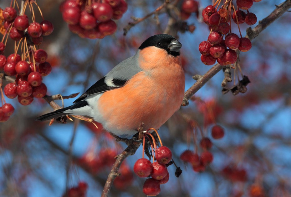 �� ������� �������...