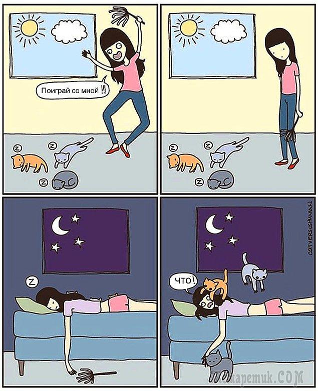 Мир глазами кота