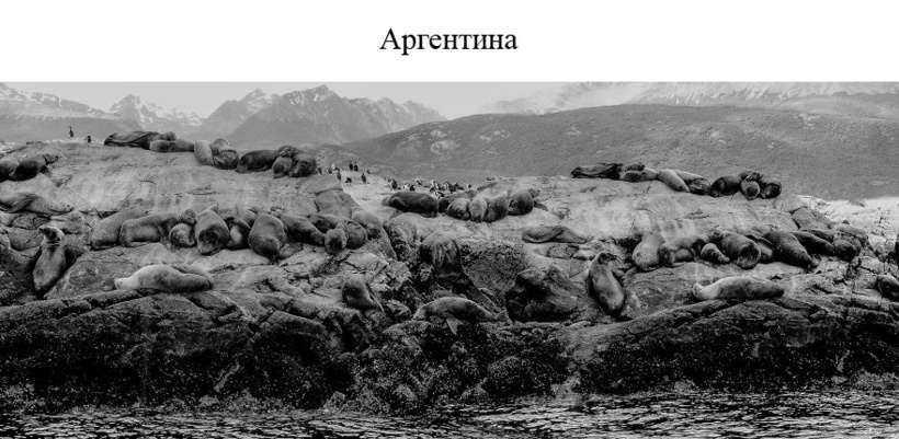 Блог - Дикая и необузданная красота Южной Америки в захватывающих снимках Дикая и необузданная красота Южной Америки в захватывающих снимках