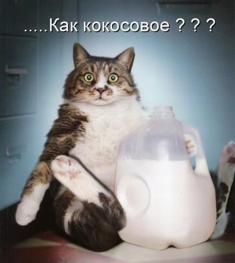 Для хорошего настроения 4