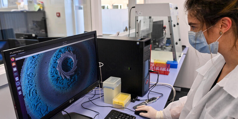 Российские ученые усовершенствовали геномный редактор