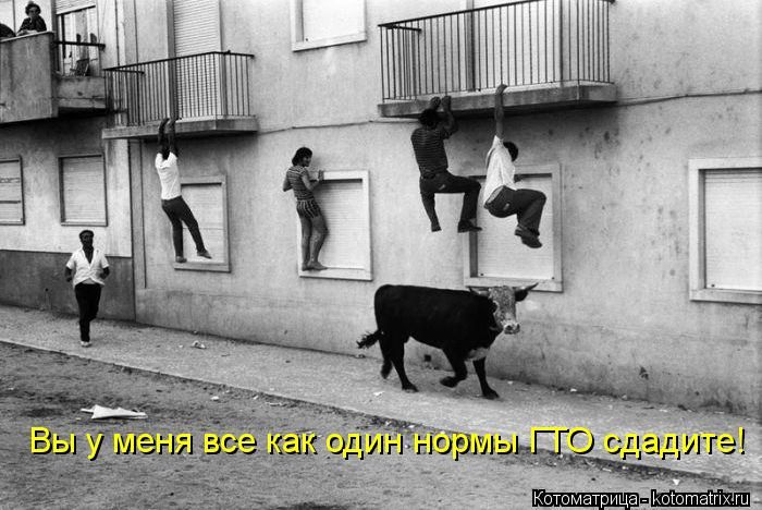 ����������� (49 ����)