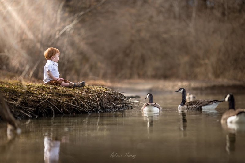 Добрый и волшебный мир детства Adrian Murray., детские фотографии, детство, фотомир