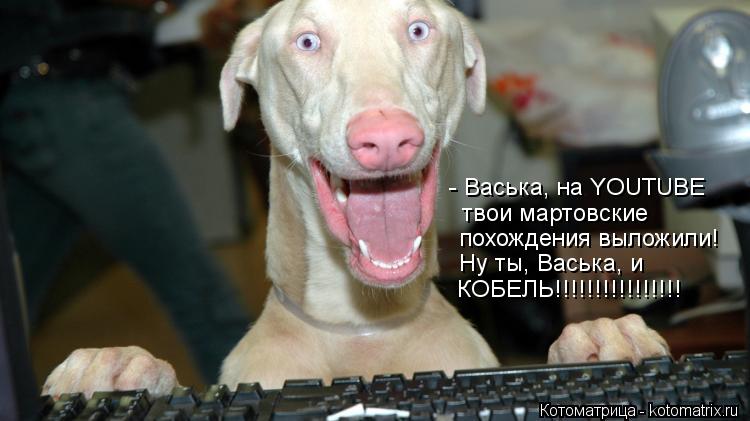 Ура!! Пятница - котоматрица!!! Ура!! Пятница - котоматрица!!!
