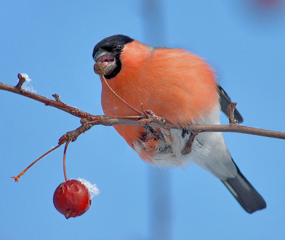 �� ������� �������...