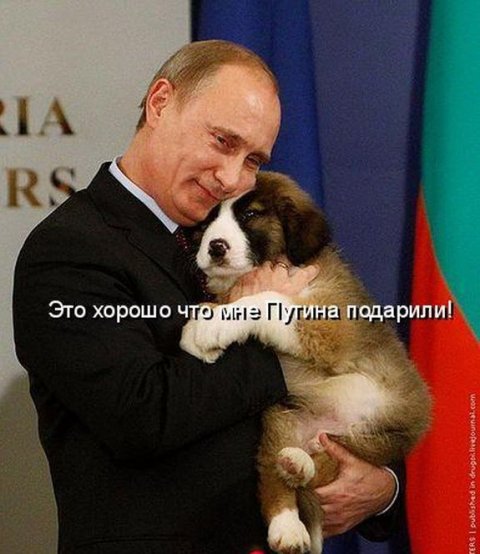 Для хорошего настроения 4