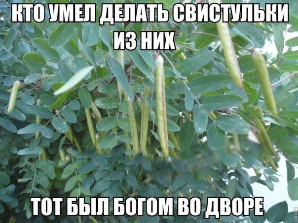 ВЕСЕЛЫЕ КАРТИНКИ ДЛЯ ХОРОШЕГО НАСТРОЕНИЯ. ВЕСЕЛЫЕ КАРТИНКИ ДЛЯ ХОРОШЕГО НАСТРОЕНИЯ.