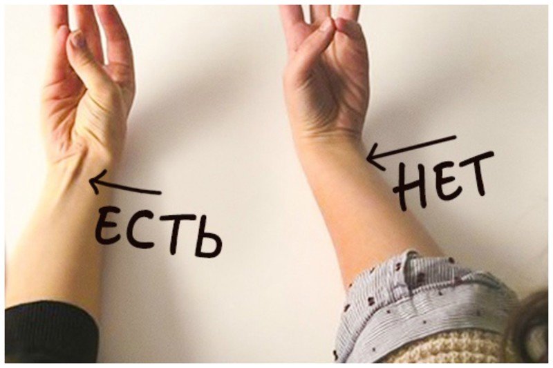 9 ненужных "запчастей" человеческого тела, которых мы скоро лишимся 9 ненужных "запчастей" человеческого тела, которых мы скоро лишимся