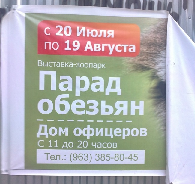 Маразмы рекламы (2) Маразмы рекламы (2)