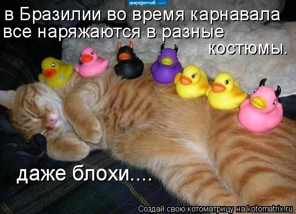 Ура!! Пятница - котоматрица!!! Ура!! Пятница - котоматрица!!!