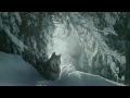 Это видео будоражит почти всех жителей земли Это видео будоражит почти всех жителей земли
