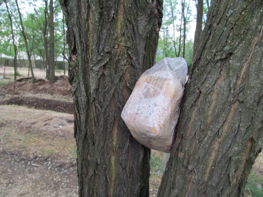 Восточный фронт восток, украина