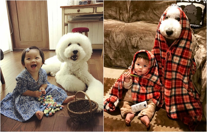 Неразлучные друзья, которые любят фотографироваться. Неразлучные друзья, которые любят фотографироваться.