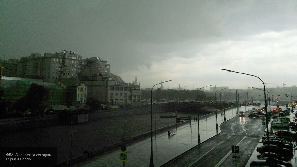 Спасатели предупредили москвичей о грозе и сильном ветре в ближайшие часы