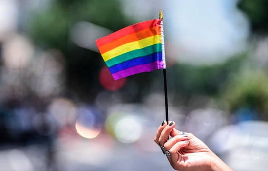 Роль LGBT MPA в индустрии туризма Роль LGBT MPA в индустрии туризма