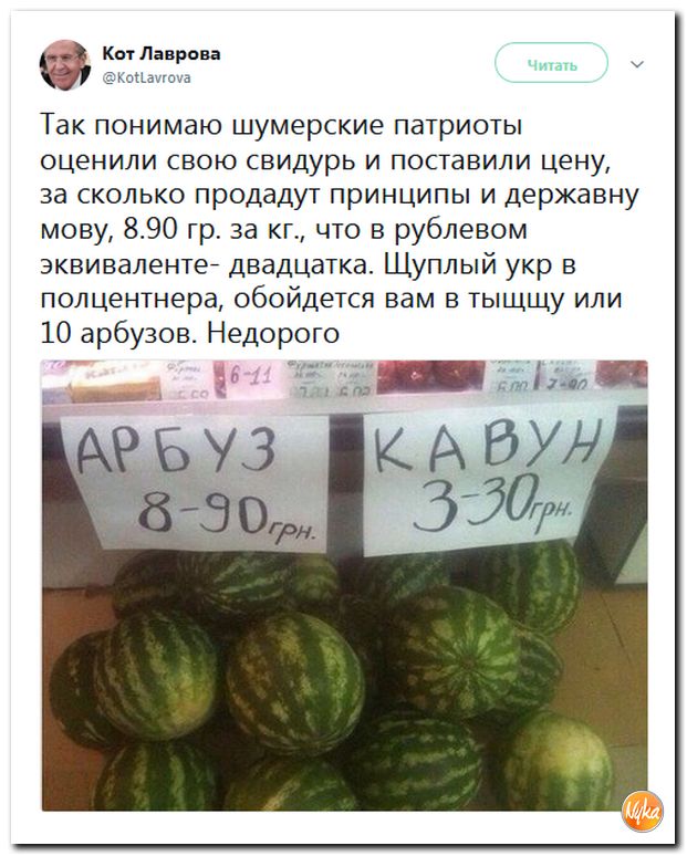 Соцсети жгут! С юмором о злободневном в ехидных скриншотах (политсатира) Соцсети жгут! С юмором о злободневном в ехидных скриншотах (политсатира)
