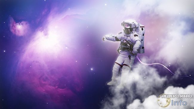 Люди - вирус или тестировщики Вселенной?