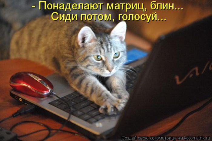 Котоматрицы великолепные, каждая с кусочком тепла, позитива и улыбкой! Котоматрицы великолепные, каждая с кусочком тепла, позитива и улыбкой!