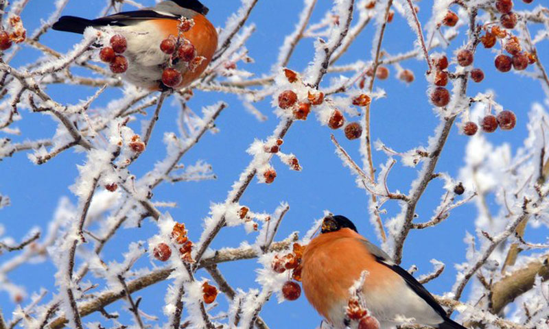 �� ������� �������...