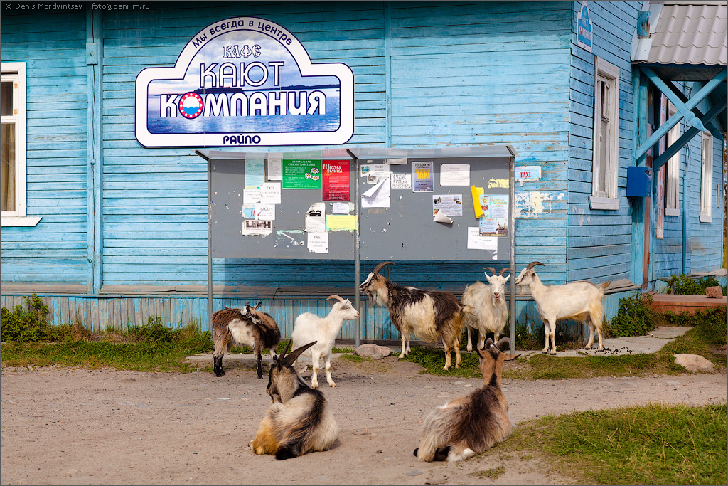 Соловки Соловки