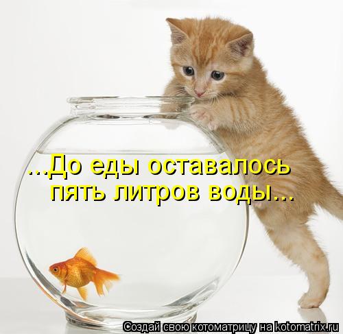 Котоматрица - Послушна и добра душа моя -  Тем злее и вредней второе Я!