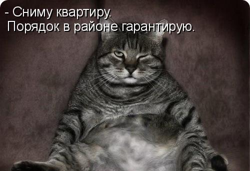 Для хорошего настроения 4