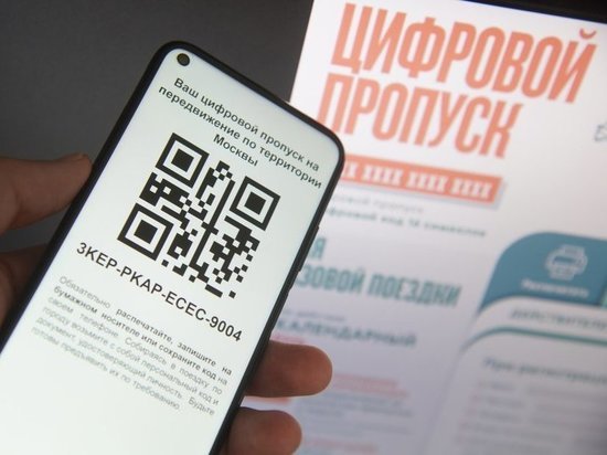 Пропускной режим в Москве и области признали фейком Пропускной режим в Москве и области признали фейком