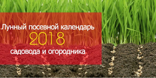 Посевной календарь садовода и огородника на 2018 год