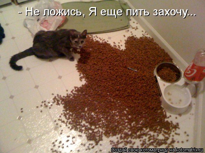 Котоматрица - Послушна и добра душа моя -  Тем злее и вредней второе Я!