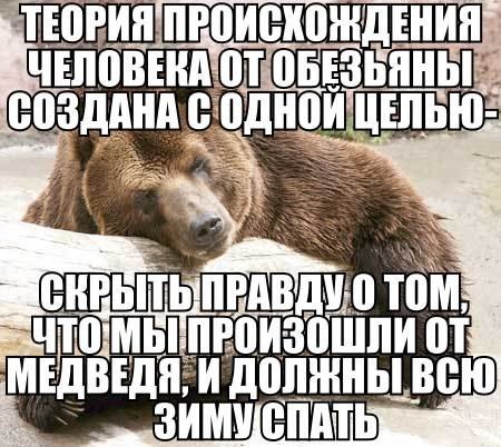 Нам всё врут! Человек произошел от медведя! Нам всё врут! Человек произошел от медведя!