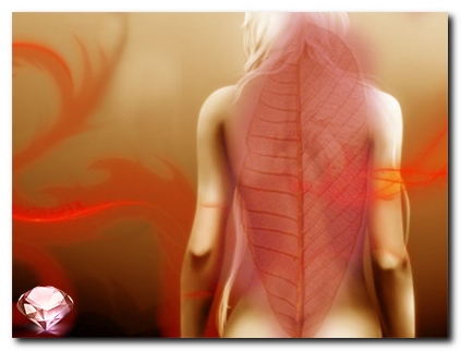 X����� �����������, ����� ���������� �����������.