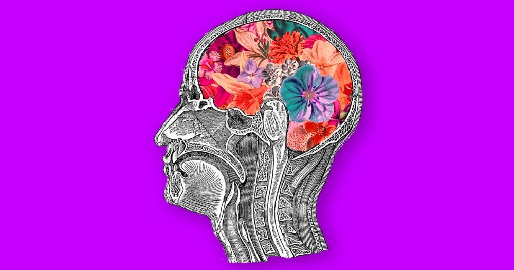 4 научных факта о том, как влюбленность делает нас тупыми