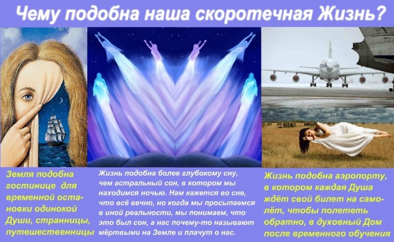 Мужской гель для волос - укладки волос Модные женские стрижки на вьющиеся волосы
