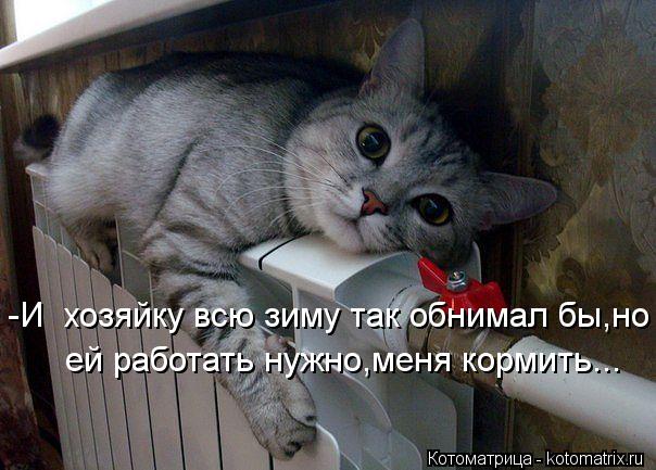 Ура!! Пятница - котоматрица!!! Ура!! Пятница - котоматрица!!!